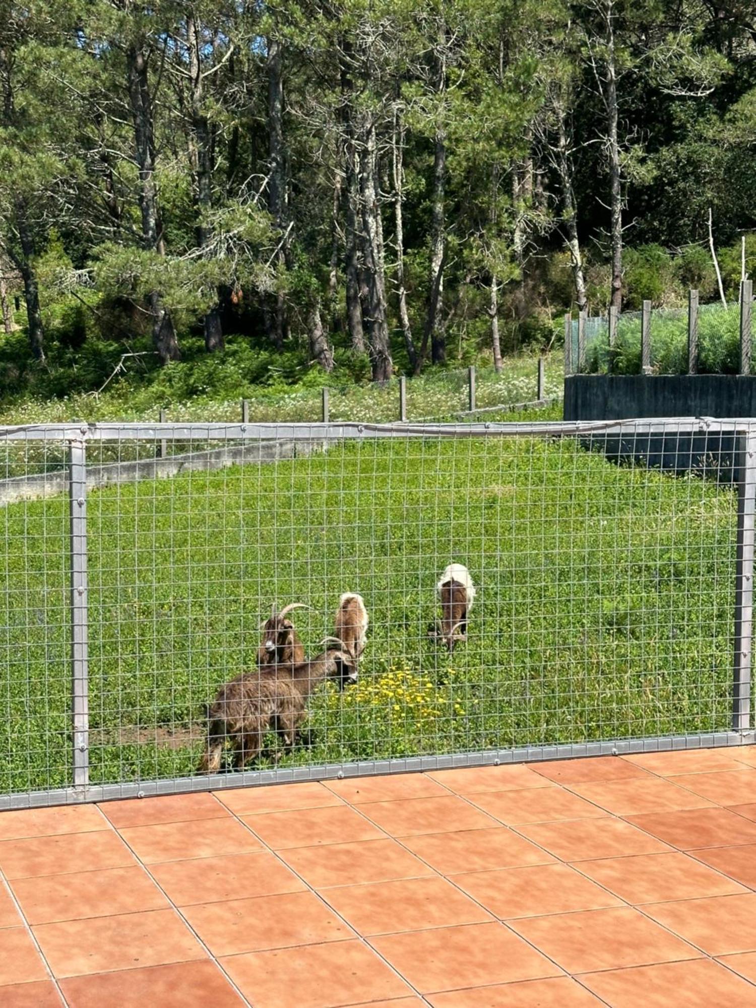 Casa Carocho Holiday home